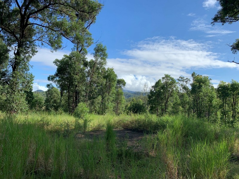 6a Wilsons Lane, Hickeys Creek NSW 2440