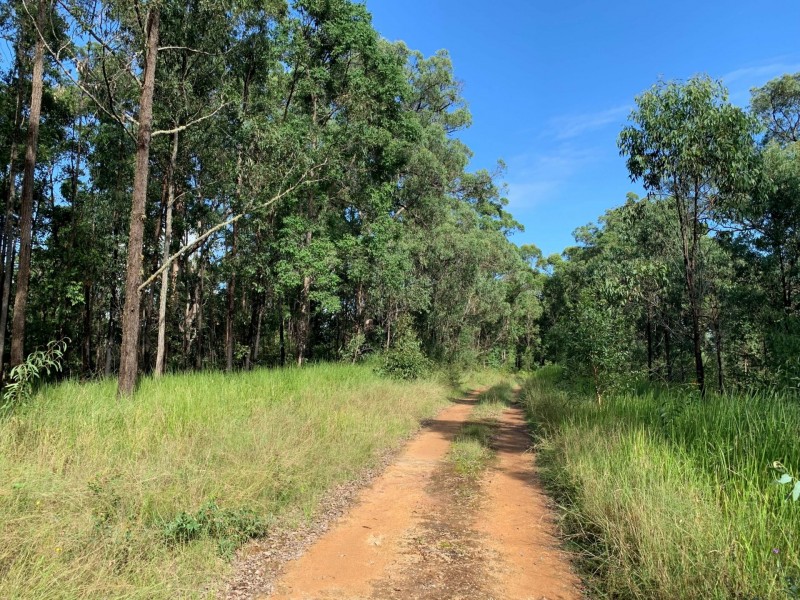 6a Wilsons Lane, Hickeys Creek NSW 2440