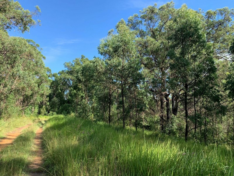 6a Wilsons Lane, Hickeys Creek NSW 2440