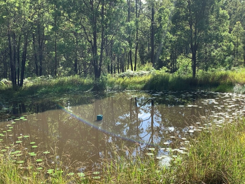 6a Wilsons Lane, Hickeys Creek NSW 2440