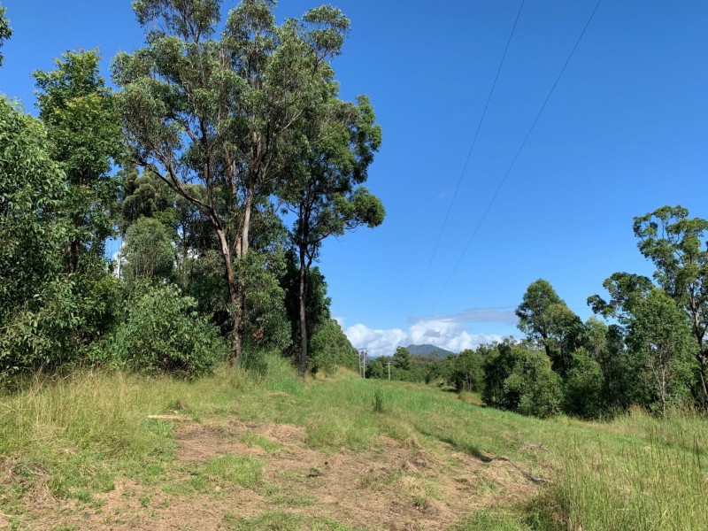 6a Wilsons Lane, Hickeys Creek NSW 2440
