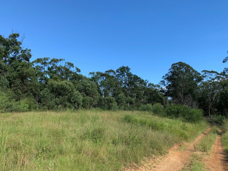6a Wilsons Lane, Hickeys Creek NSW 2440