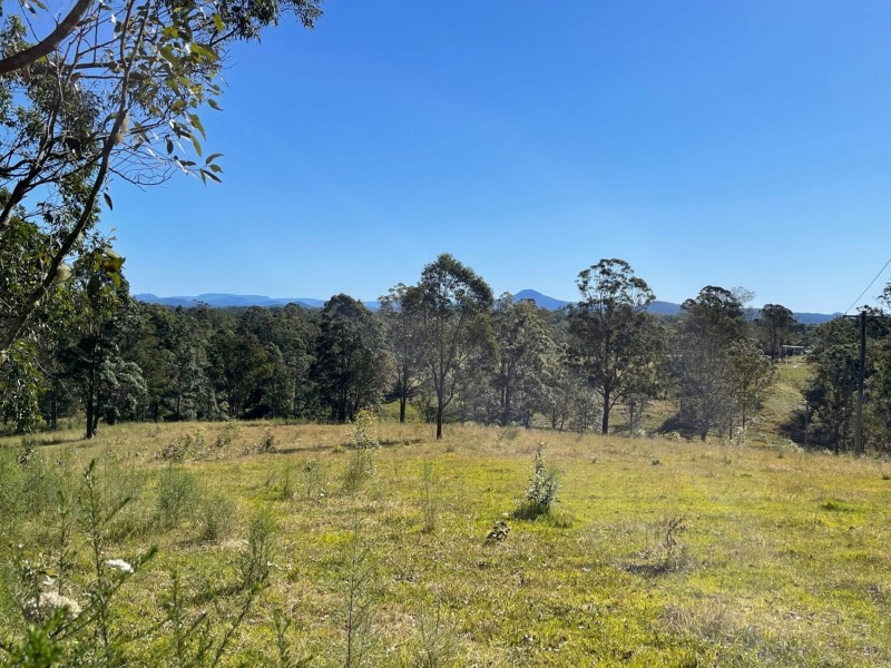 Lot 511 Anembo Lane, Temagog NSW 2440