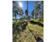 Lot 511 Anembo Lane, Temagog NSW 2440