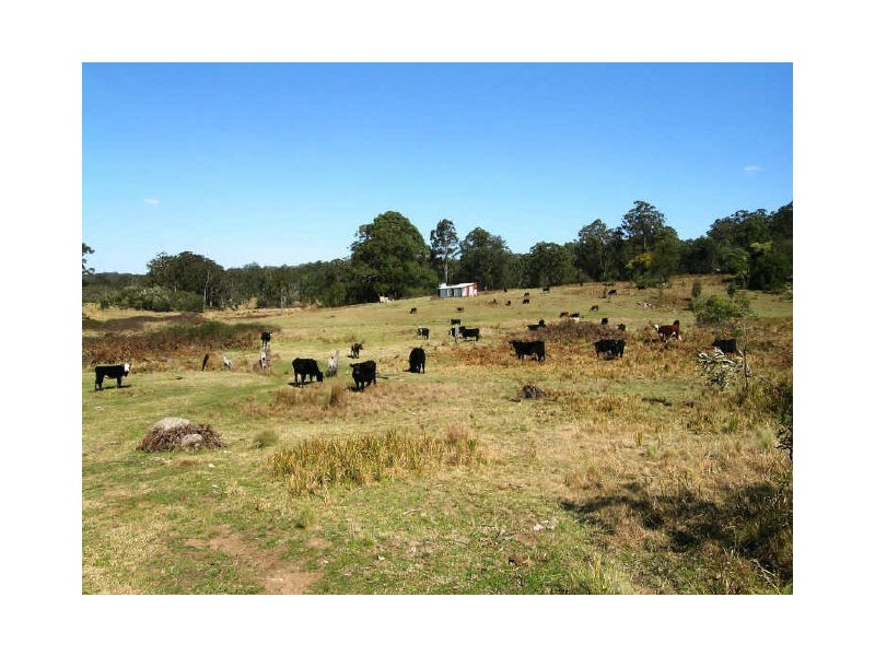 Carrai NSW 2440