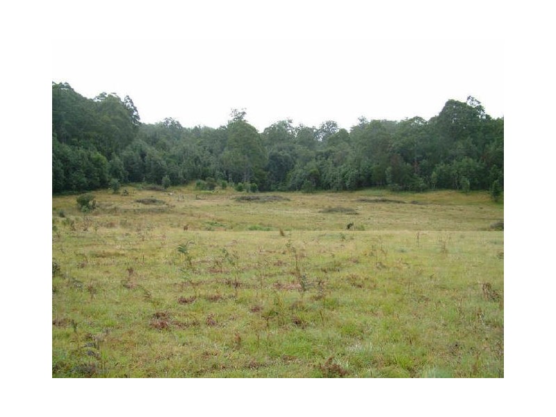 Carrai NSW 2440