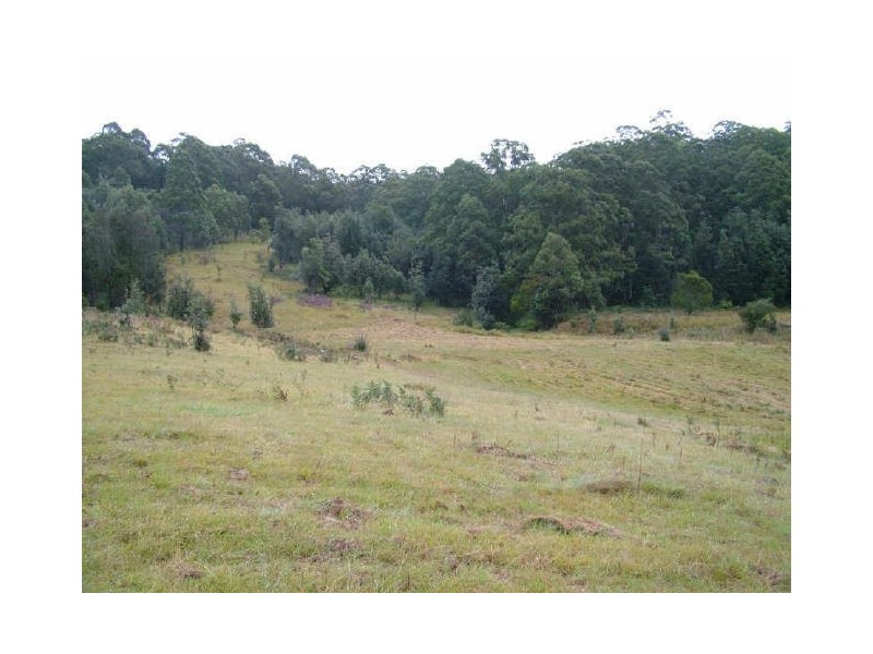 Carrai NSW 2440