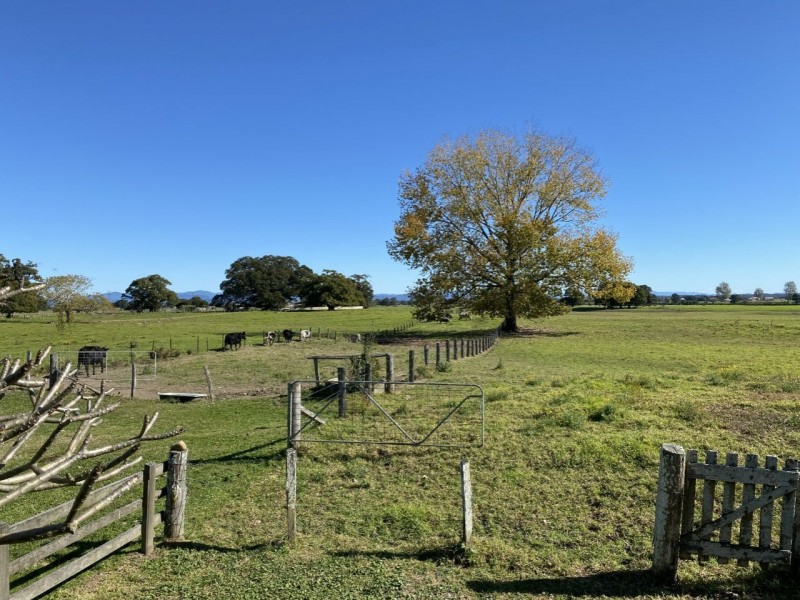 395 South West Rocks Rd, Pola Creek NSW 2440