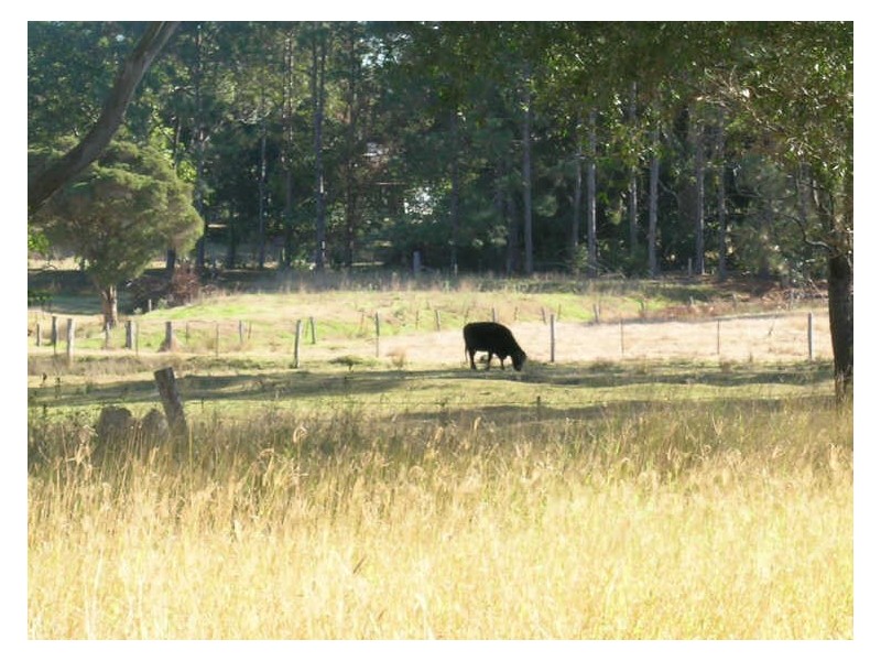 Lot 9 Yarravel Street, South Kempsey NSW 2440