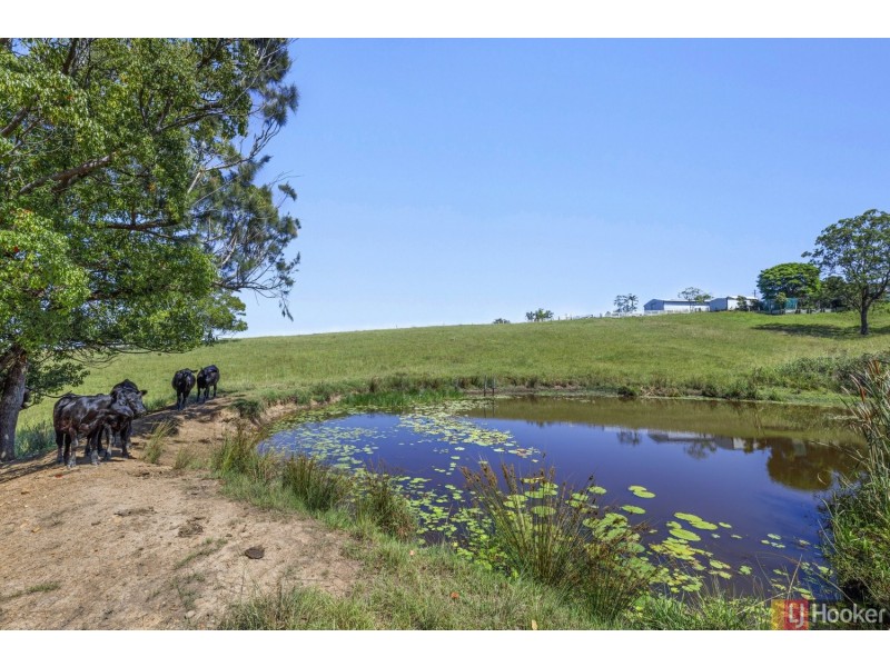 284-286 River Street, Greenhill NSW 2440