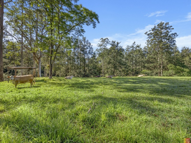 1625 Nulla Nulla Creek Road, Bellbrook NSW 2440