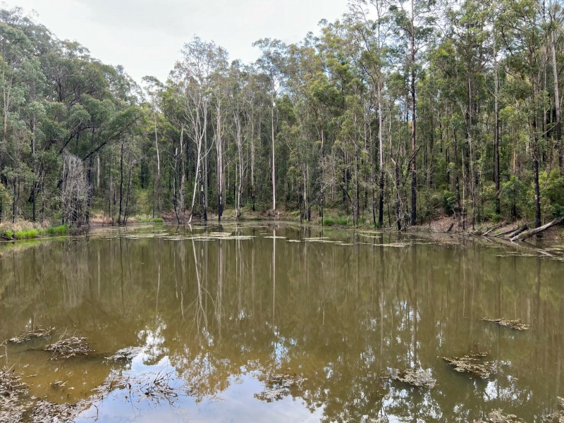 83b Hickeys Creek Road, Millbank NSW 2440