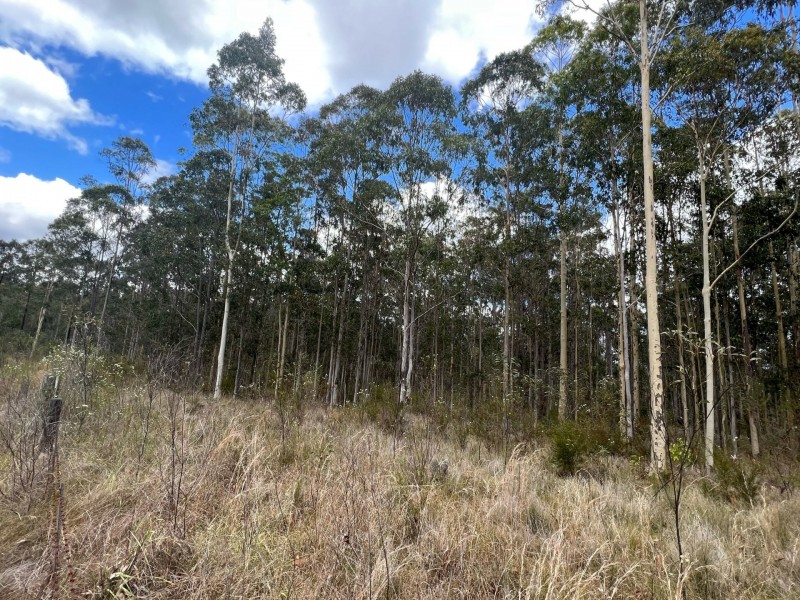 Lot 11/Lot 11 John Lane Road, Yarravel NSW 2440