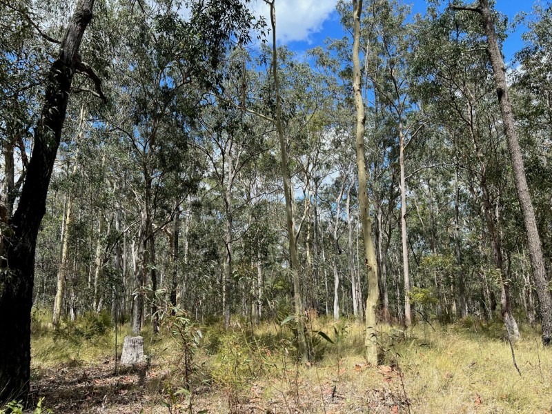 Lot 11/Lot 11 John Lane Road, Yarravel NSW 2440