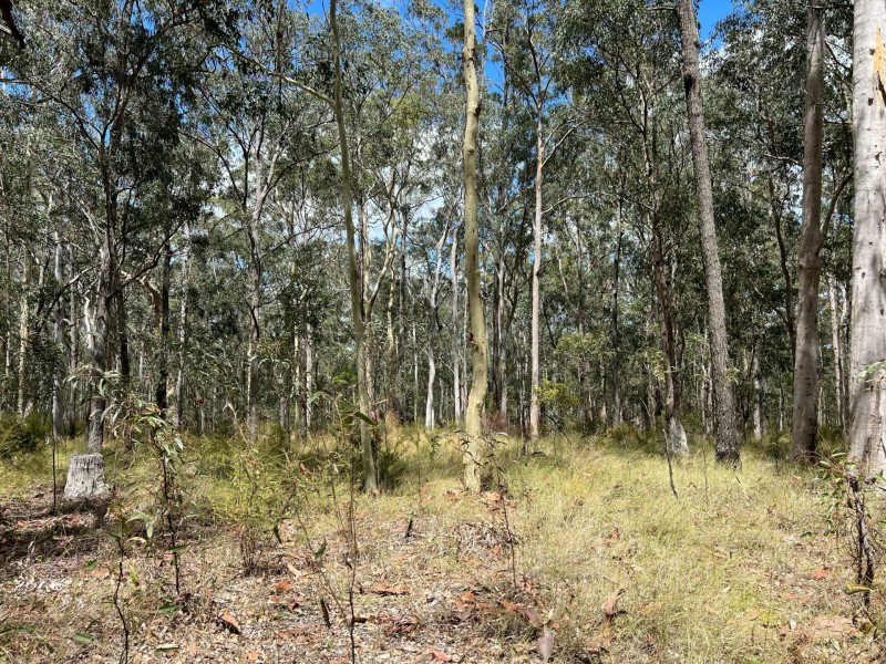 Lot 11/Lot 11 John Lane Road, Yarravel NSW 2440