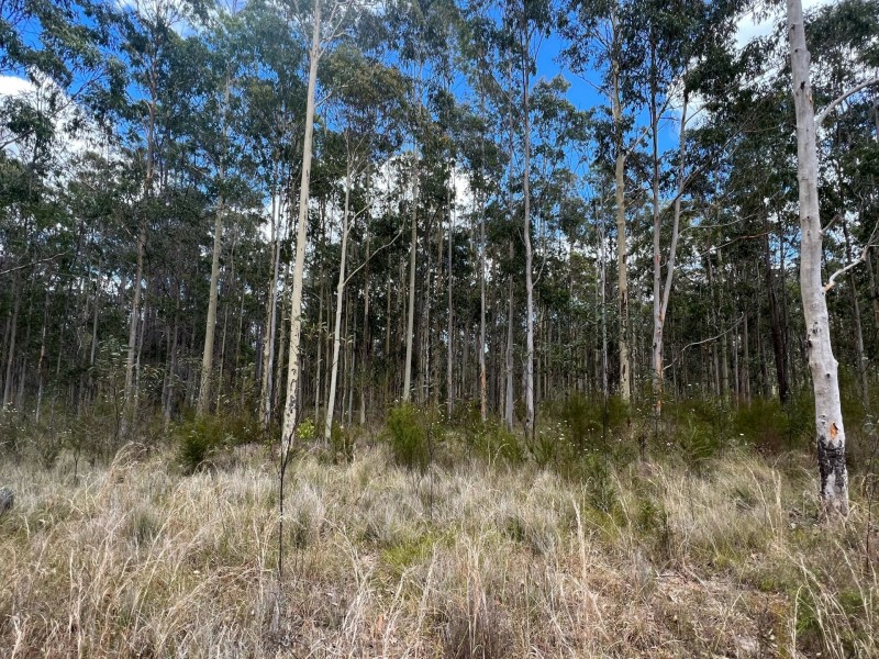 Lot 11/Lot 11 John Lane Road, Yarravel NSW 2440
