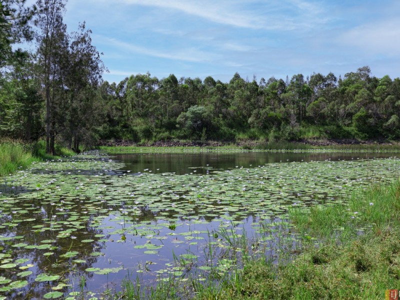 Lot 2/24 Yabsleys Lane, South Kempsey NSW 2440