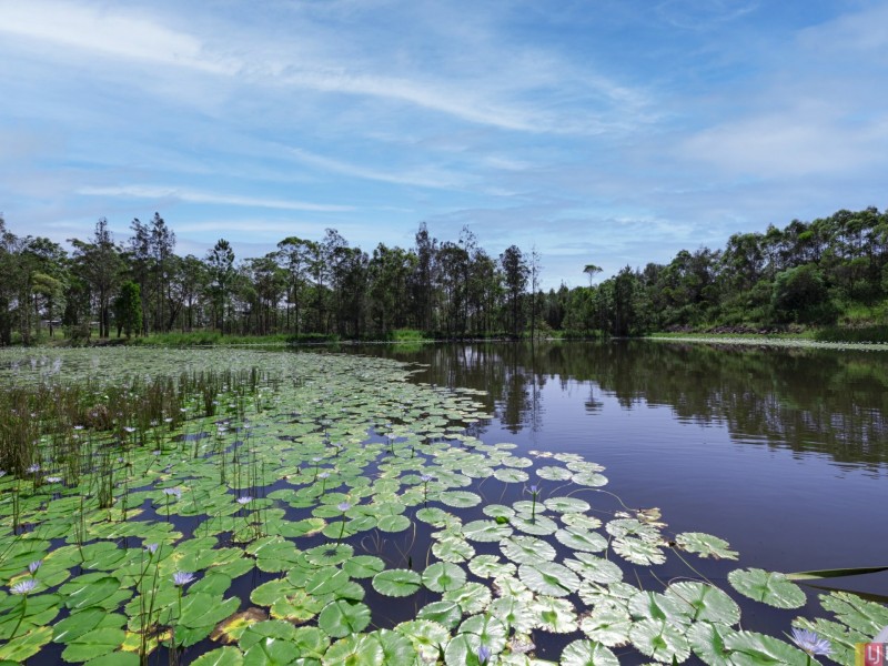 Lot 5/24 Yabsleys Lane, South Kempsey NSW 2440