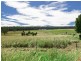 Lot 1/Lot 1 Aldavilla Road, Aldavilla NSW 2440