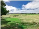 Lot 1/Lot 1 Aldavilla Road, Aldavilla NSW 2440