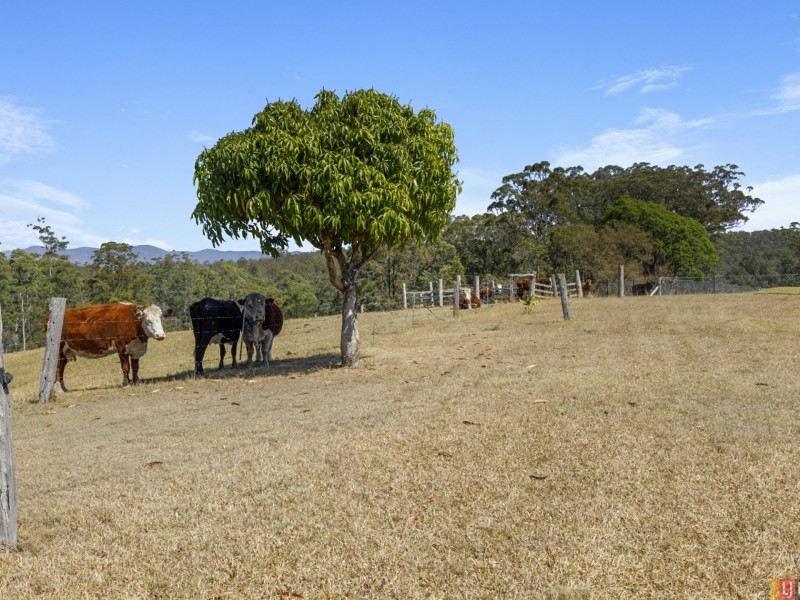 361 Mines Creek Road, Deep Creek NSW 2440