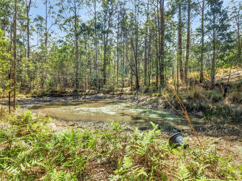 1780 Collombatti Road, Collombatti NSW 2440