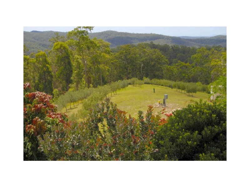 Telegraph Point NSW 2441