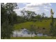 Telegraph Point NSW 2441