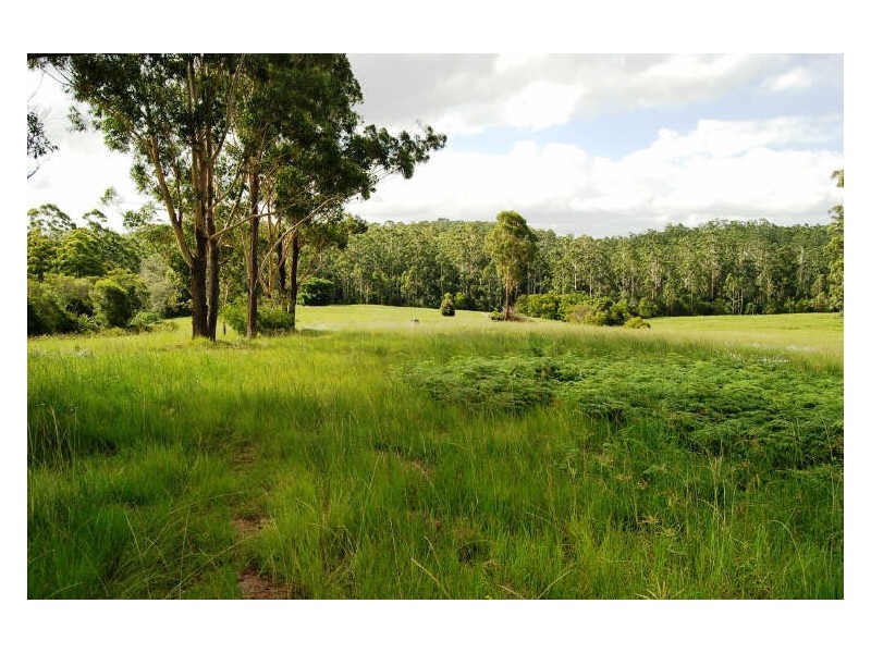 Lot 1&122 Searles Road, Tamban NSW 2441