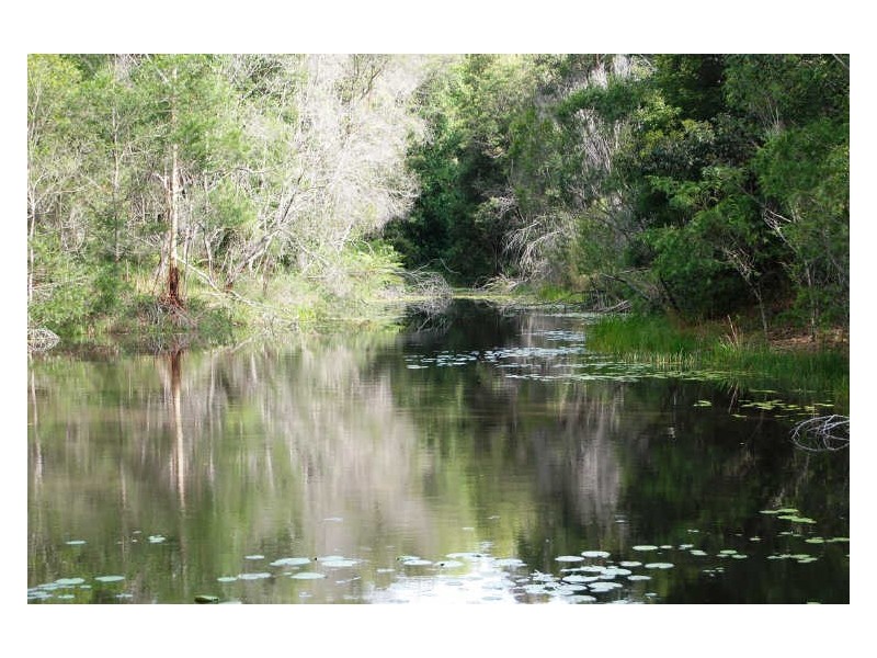 Lot 1&122 Searles Road, Tamban NSW 2441