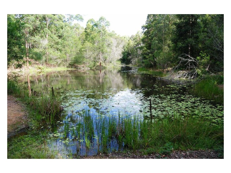 Lot 1&122 Searles Road, Tamban NSW 2441