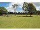 Aldavilla NSW 2440