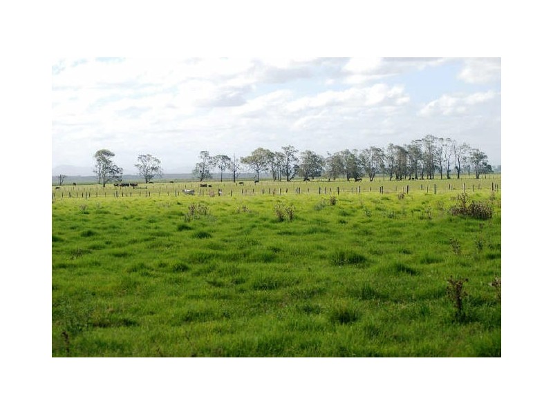 Belmore River NSW 2440