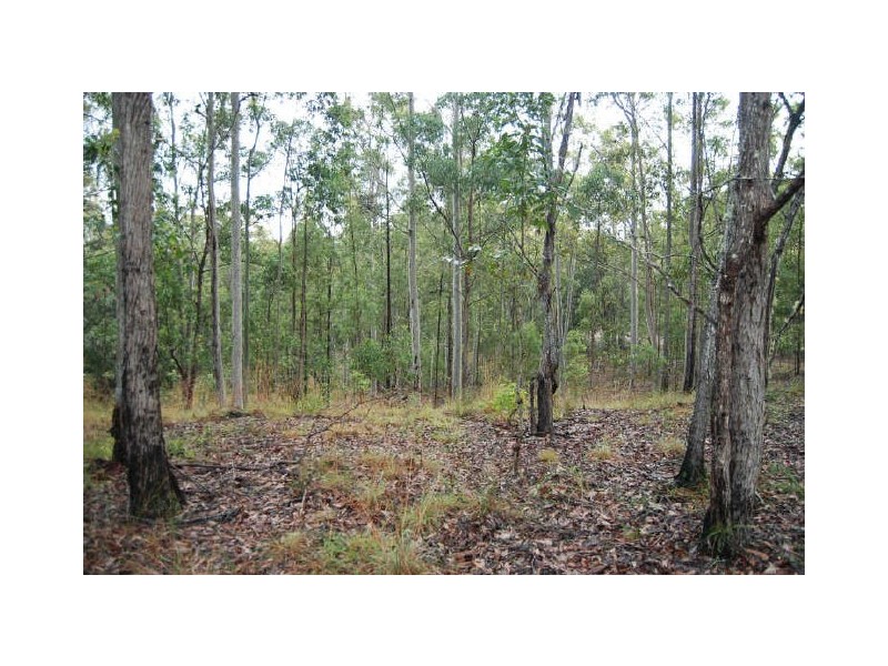 Mungay Creek NSW 2440