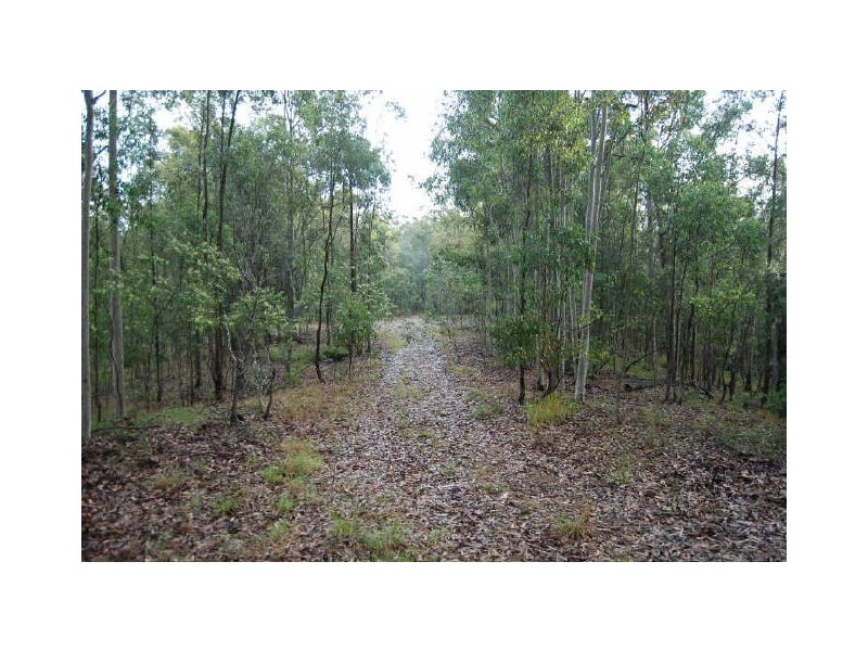 Mungay Creek NSW 2440