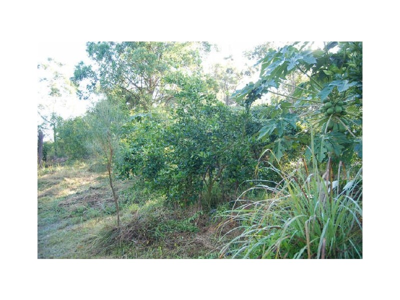 Euroka NSW 2440