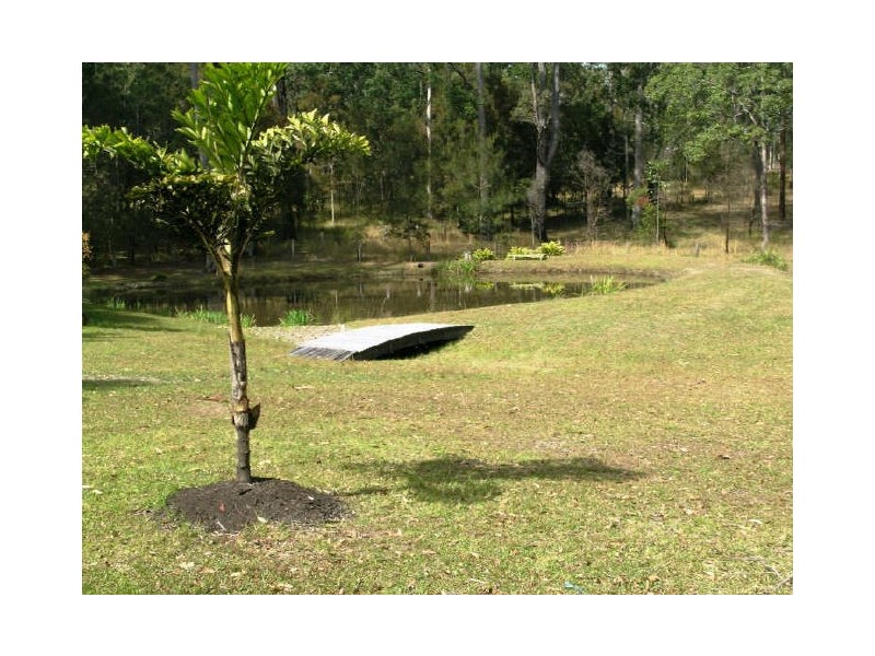 63 Brushbox Crescent, Yarravel NSW 2440