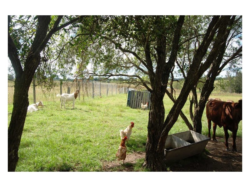 Kempsey NSW 2440
