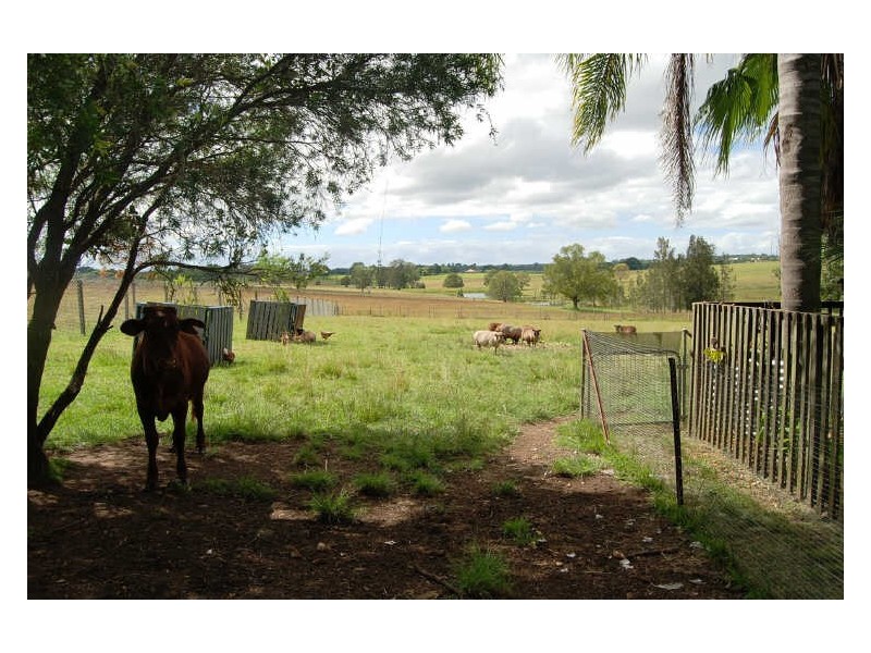 Kempsey NSW 2440