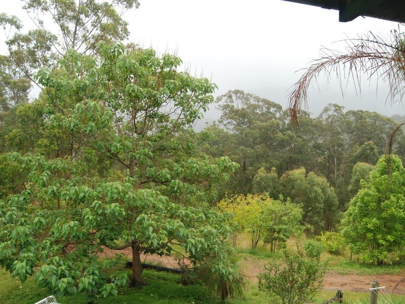 391 Sundowner Road, Millbank NSW 2440