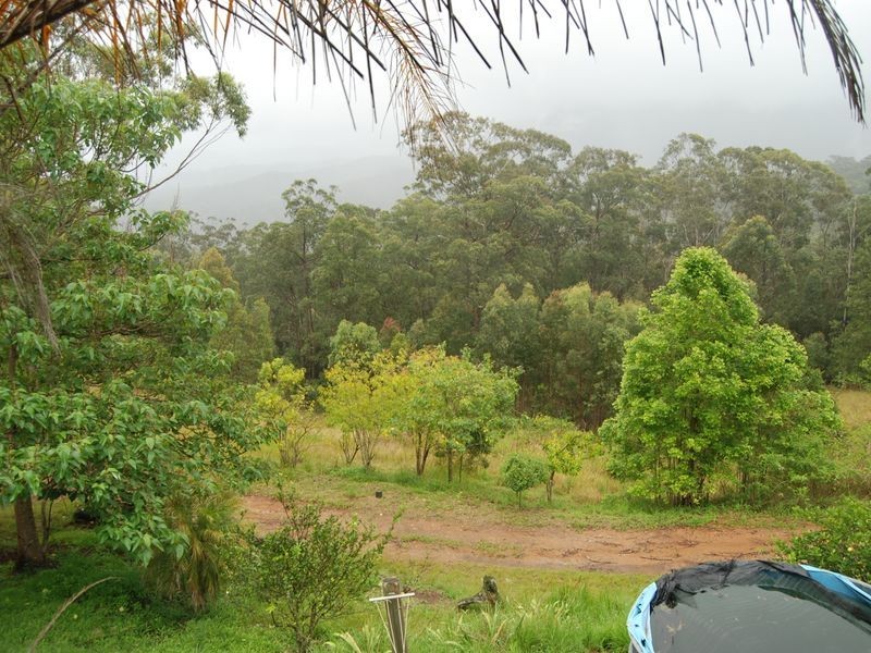 391 Sundowner Road, Millbank NSW 2440