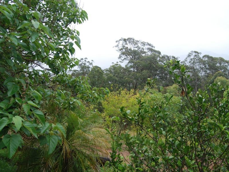 391 Sundowner Road, Millbank NSW 2440