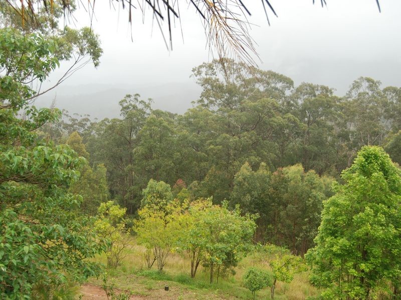 391 Sundowner Road, Millbank NSW 2440