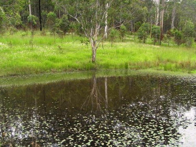 Lot 373 Mines Road, Mungay Creek NSW 2440