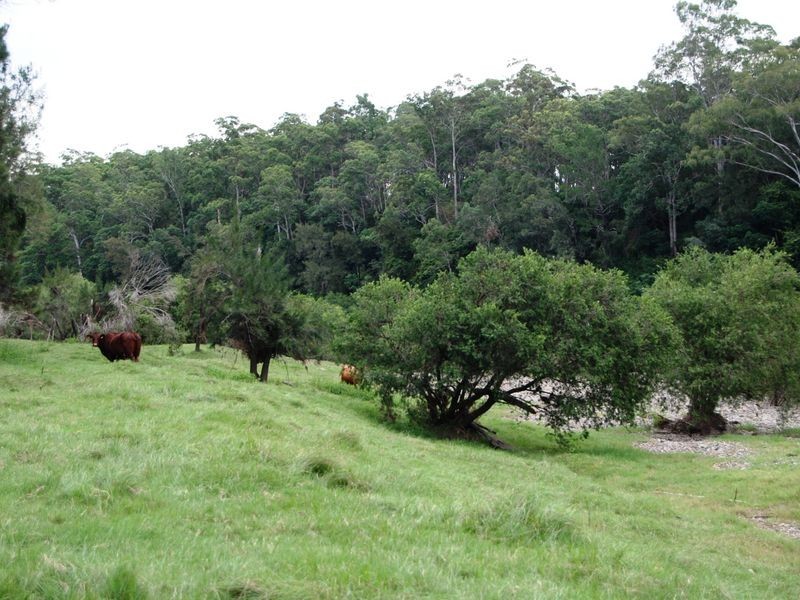 252 Temagog Road, Temagog NSW 2440