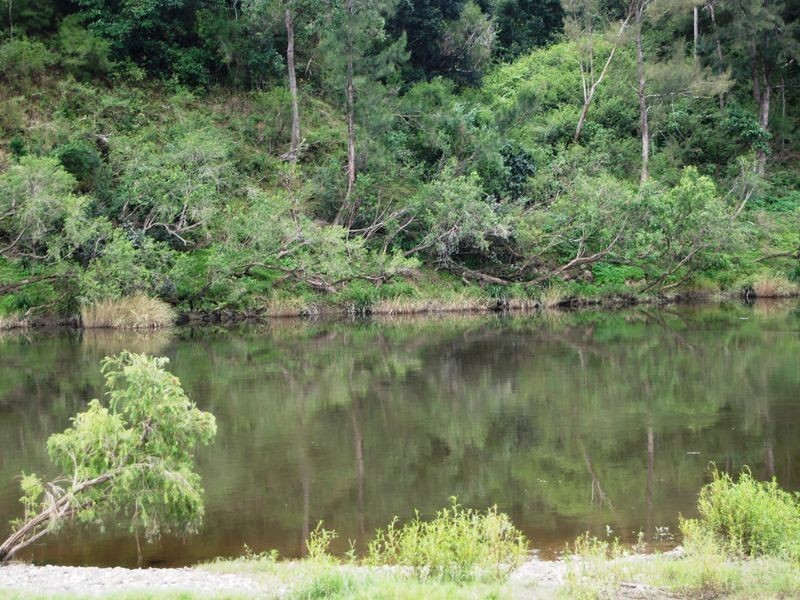 252 Temagog Road, Temagog NSW 2440