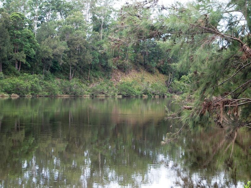 252 Temagog Road, Temagog NSW 2440