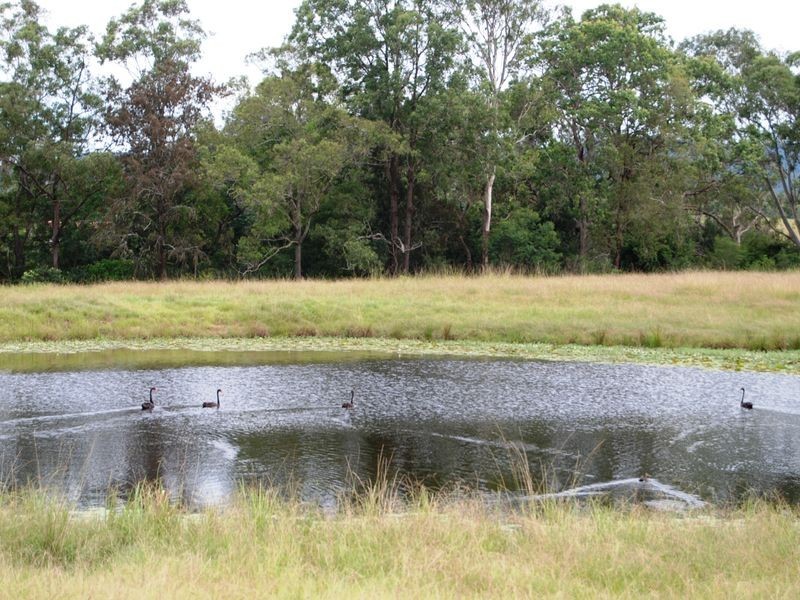 252 Temagog Road, Temagog NSW 2440