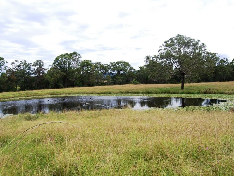 252 Temagog Road, Temagog NSW 2440