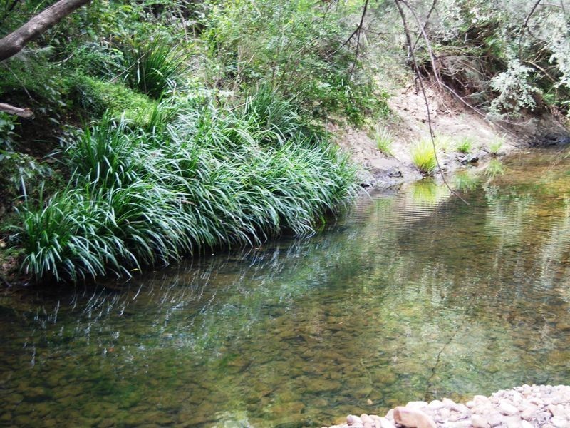 252 Temagog Road, Temagog NSW 2440